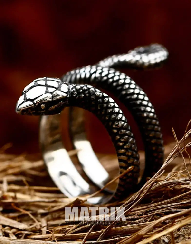 Silver Snake Ring