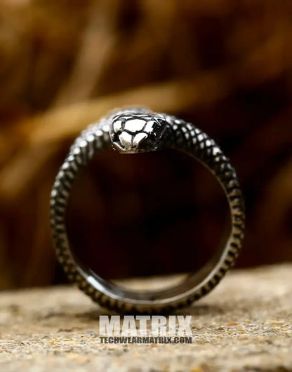 Silver Snake Ring