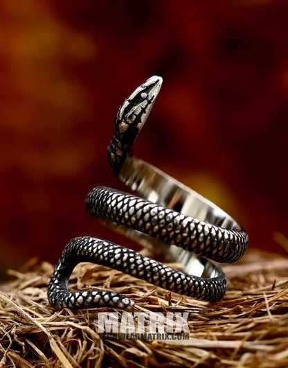 Silver Snake Ring